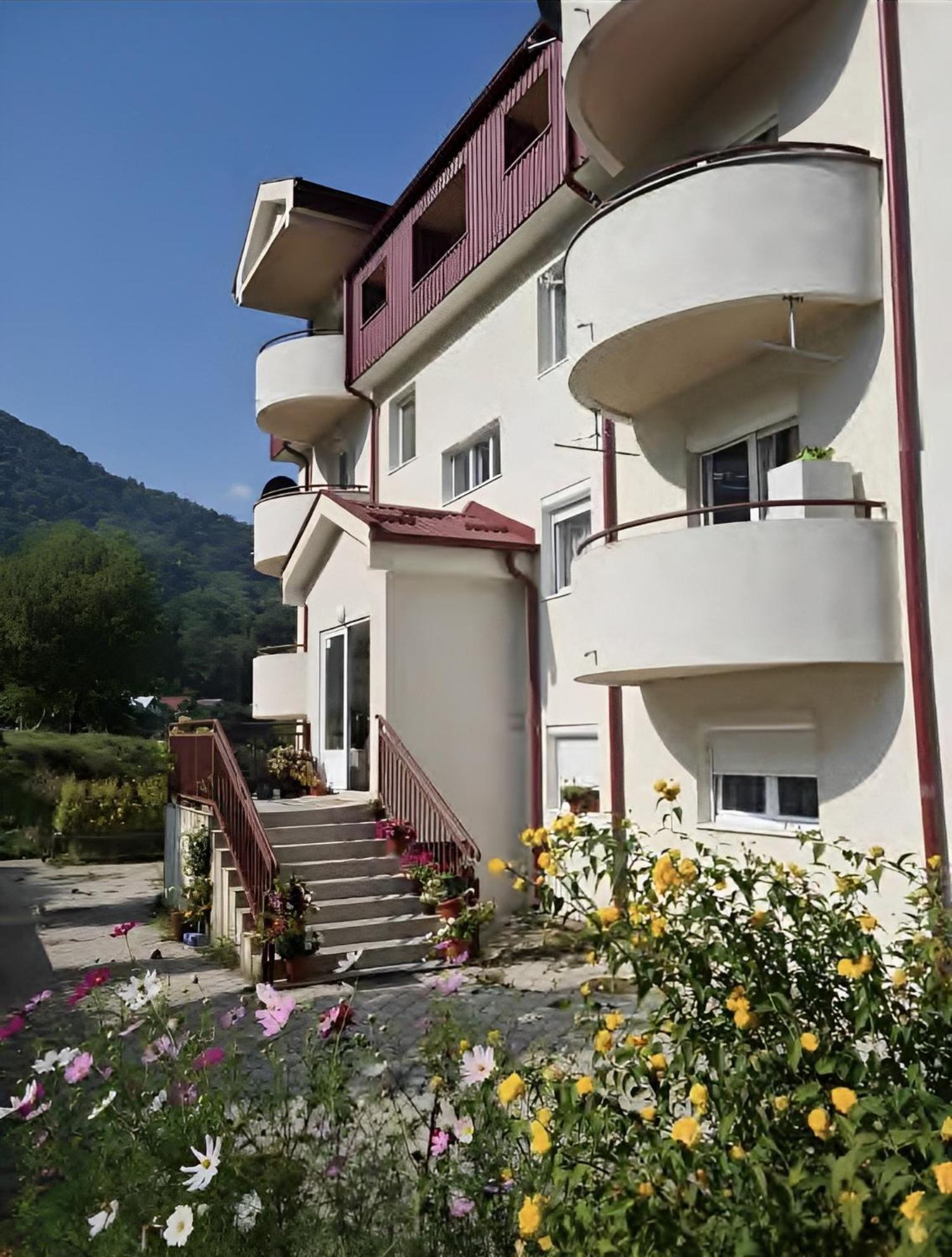 Zora Apartment Плужине Екстер'єр фото